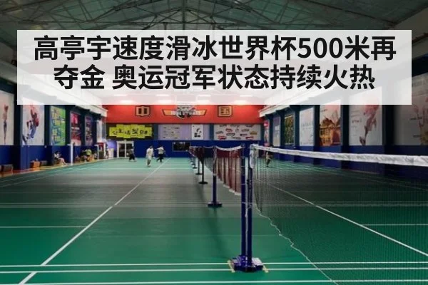 高亭宇速度滑冰世界杯500米再夺金 奥运冠军状态持续火热